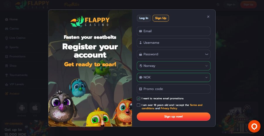 Flappy Casino har en enkel og rask registrering av en spillekonto